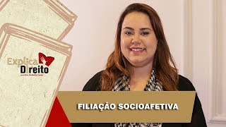 Explica Direito Filiação Socioafetiva  2019 [upl. by Yarased934]